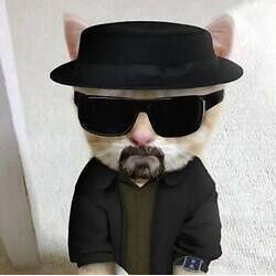 Аватара пользователя