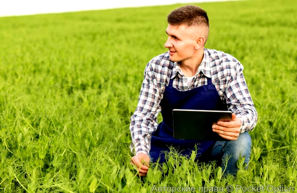 современный фермер