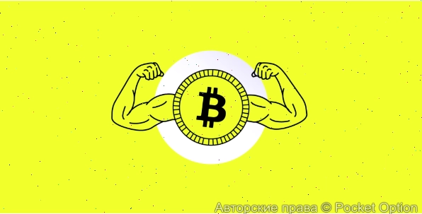 биток оказался сильнее всех