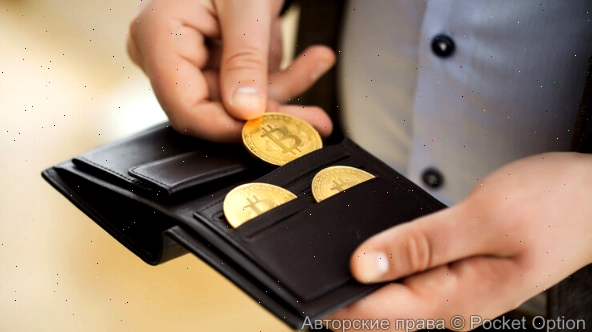 биткоин монеты