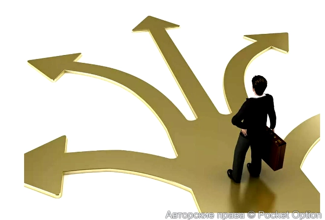 новичкам всегда тяжело и важно выбрать правильный путь