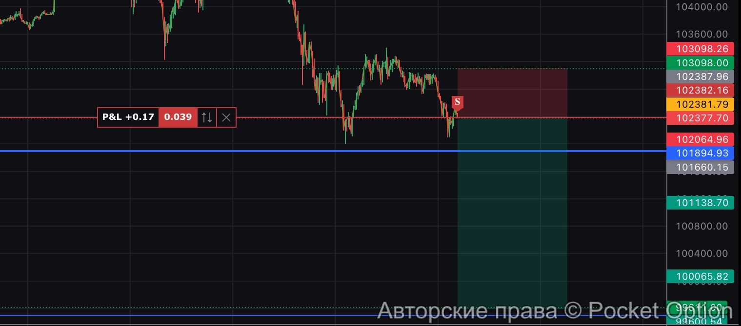 шорт по битку