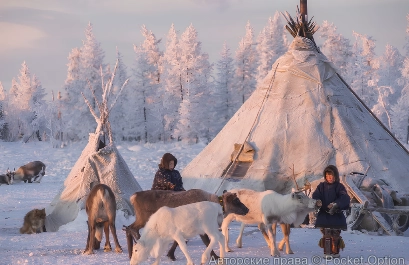 0334_Screenshot_2024-09-01_015917