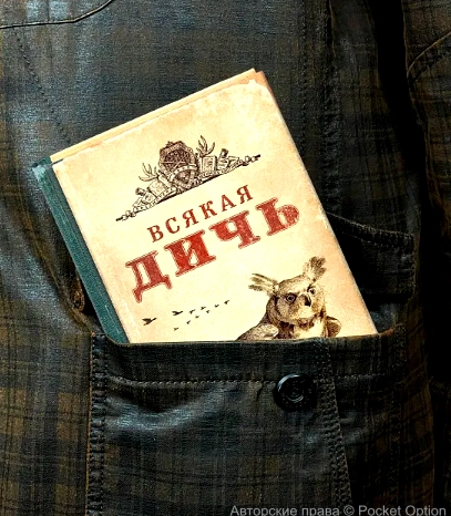 всякая дичь