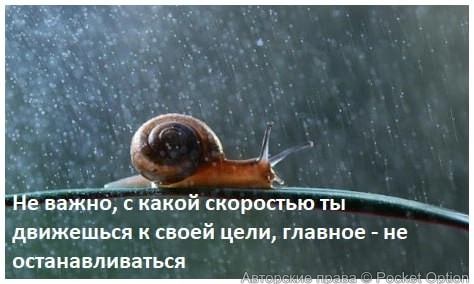 IMG_20250529_182602_659