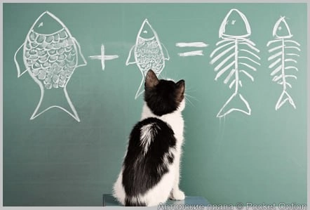 IMG_20250529_184605_883