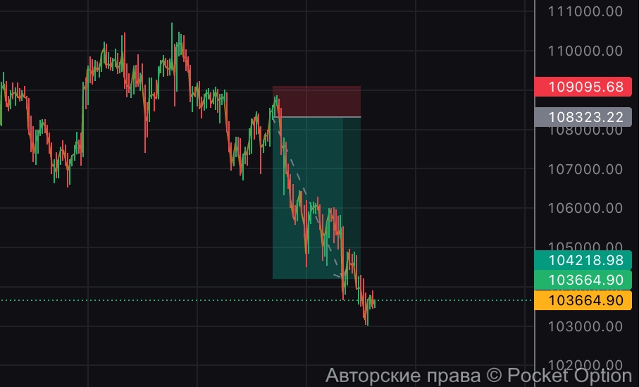шорт по битку тп