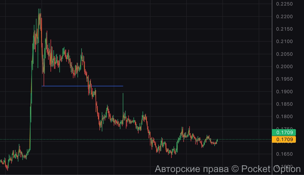 xter отработка