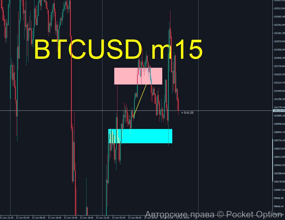 btc6_itog