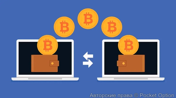 биткоины45 (1)