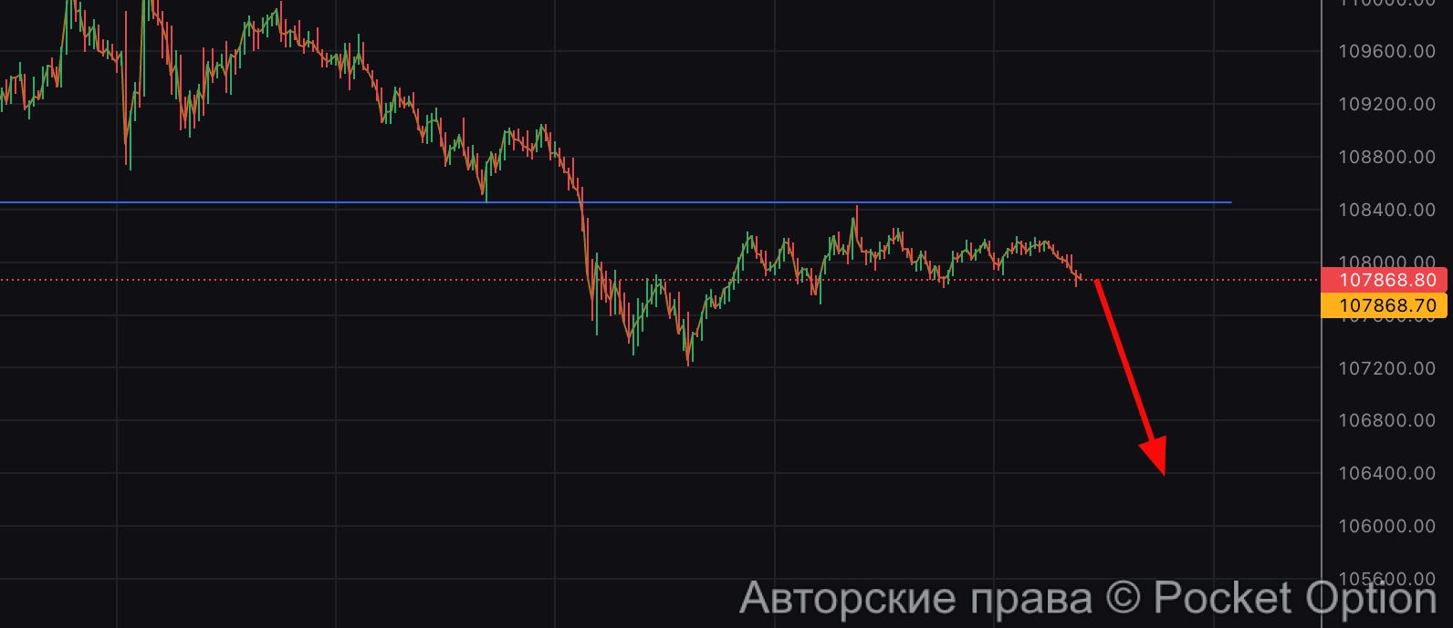 биток в шорты