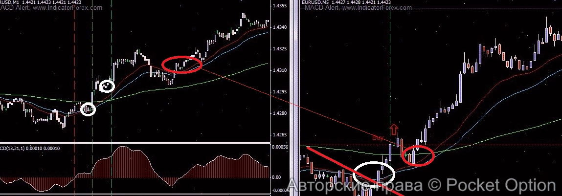 поглощение