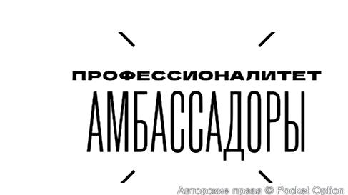 профессионалитет