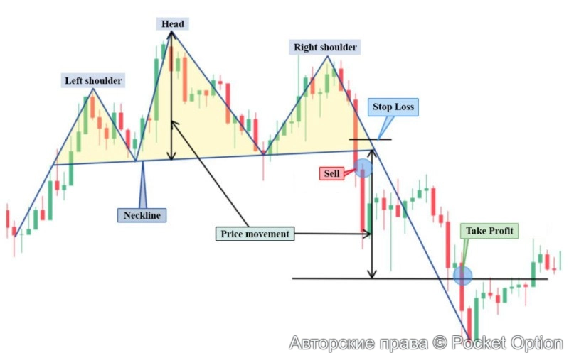 голова плечи