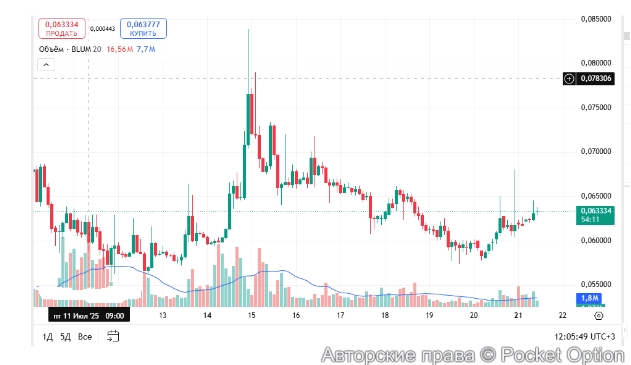 монета Блум12 сейчас