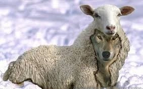 лжеучитель