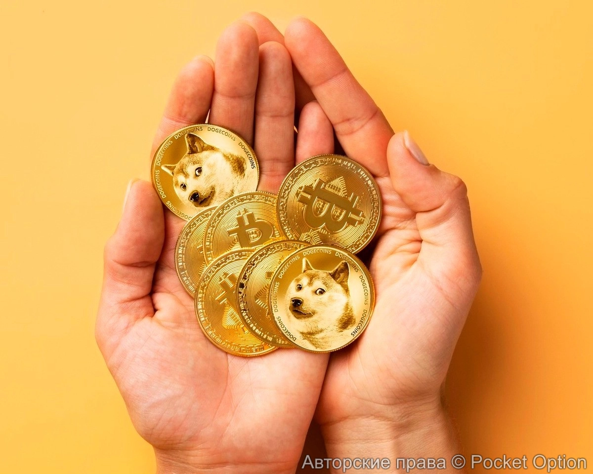 Что сейчас происходит с рынком мемкоинов