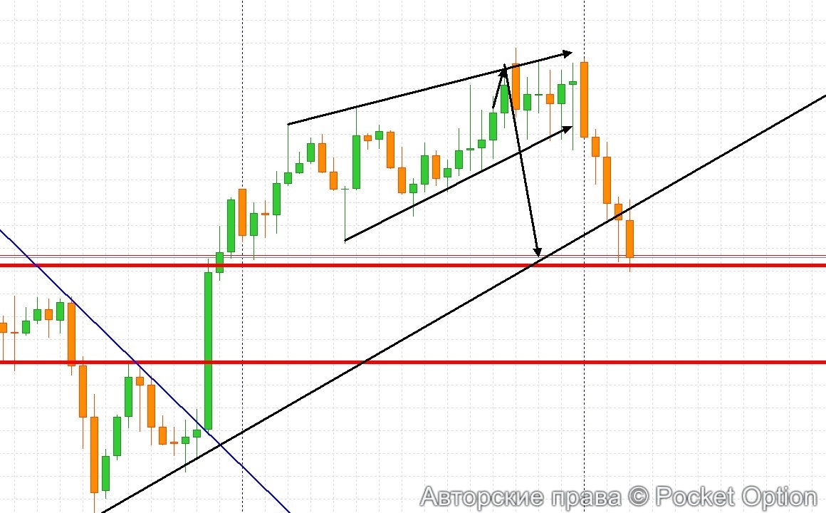 Снимок экрана 2025-08-11 191116