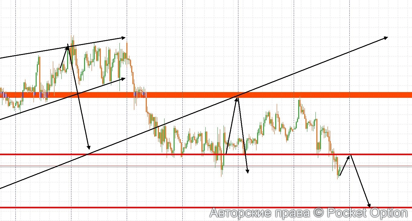Снимок экрана 2025-08-14 202045