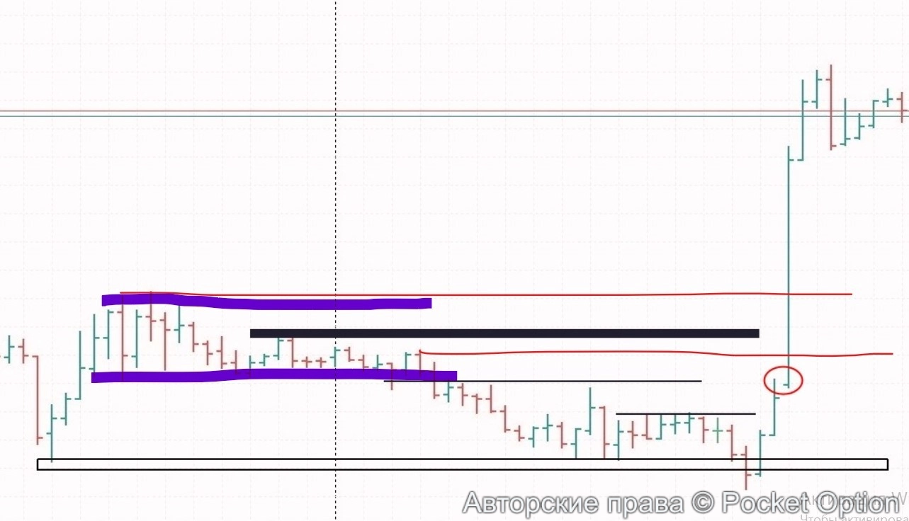 Снимок экрана 2025-08-24 130645