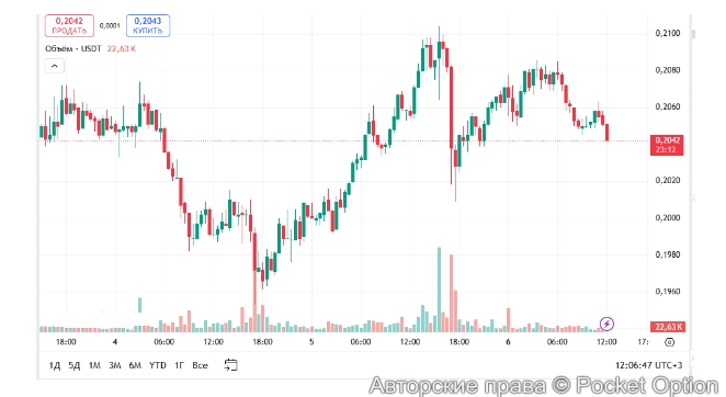 график новый сегодня