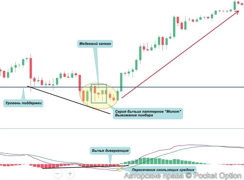 медвежья ловушка