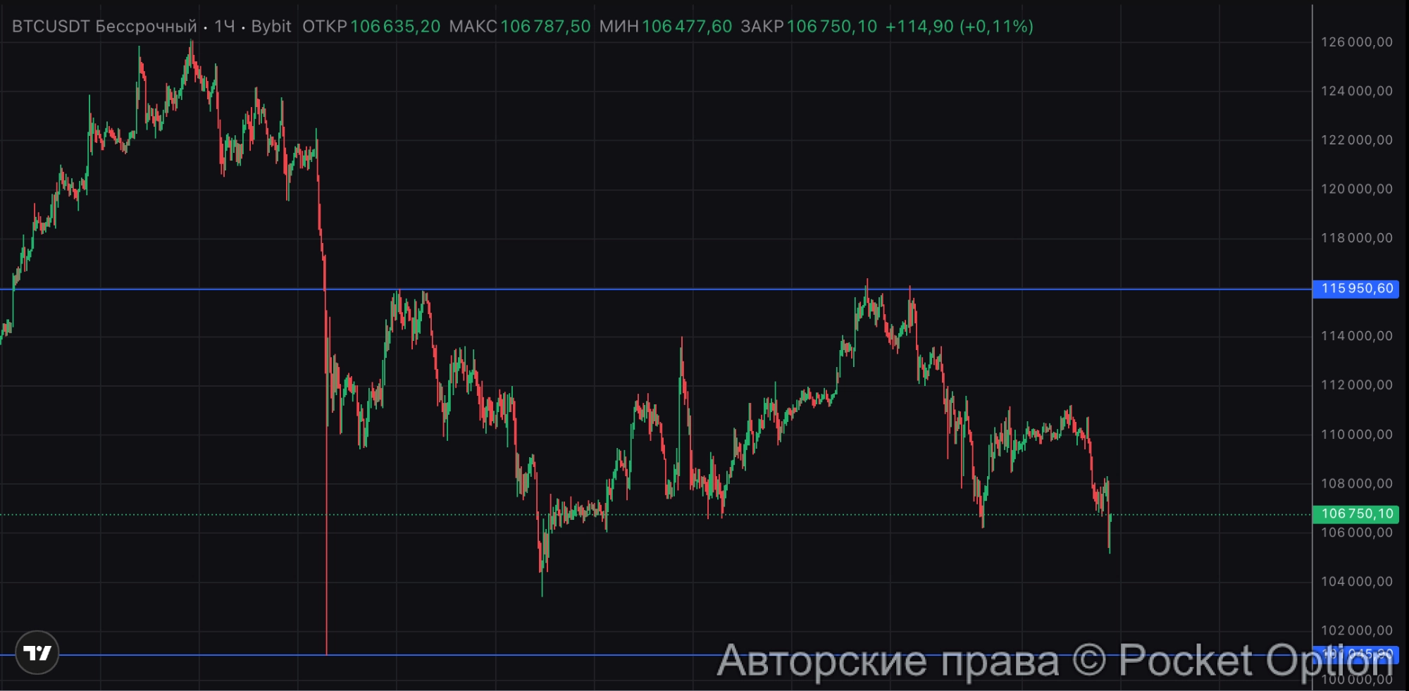 биток держат