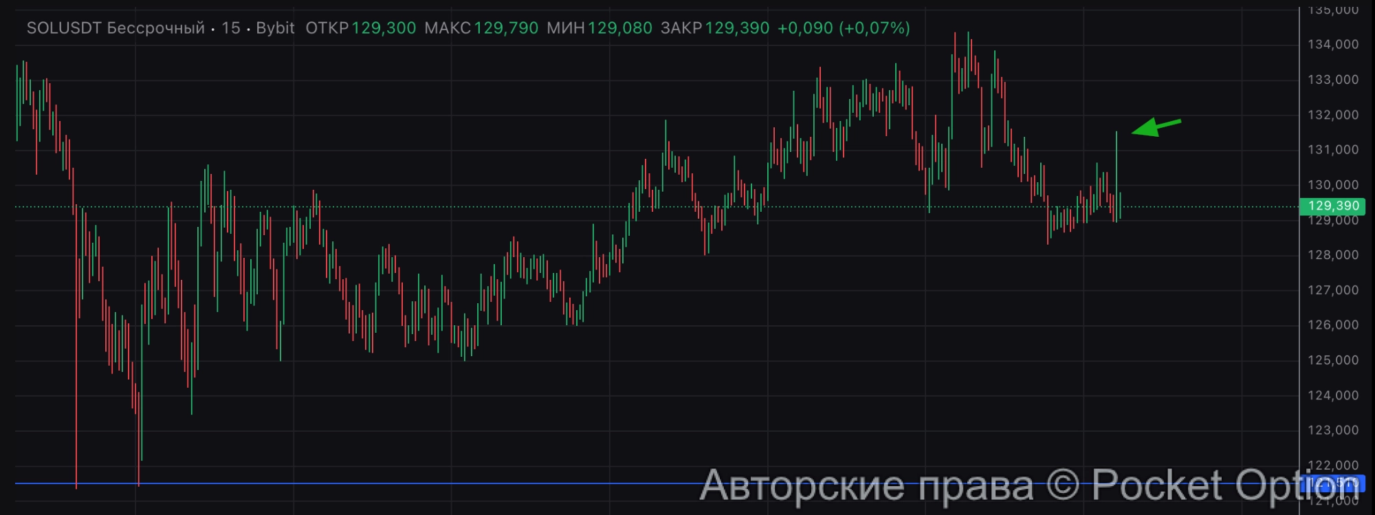 солана в шорт