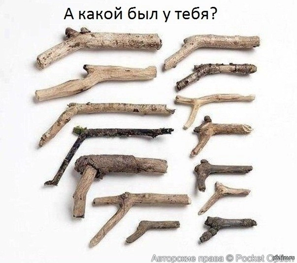 оружие палки