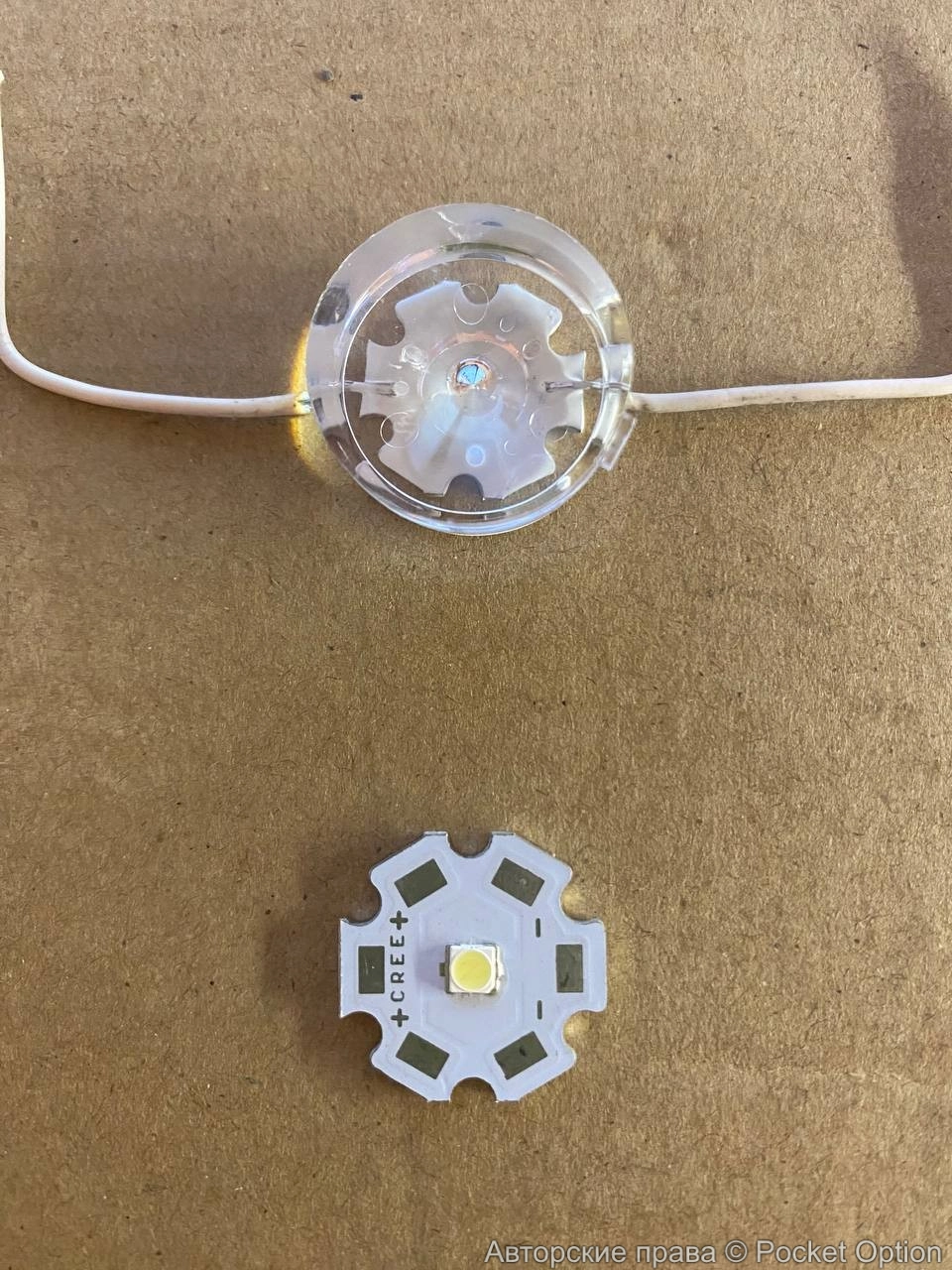 photo_2025-10-08_14-15-58