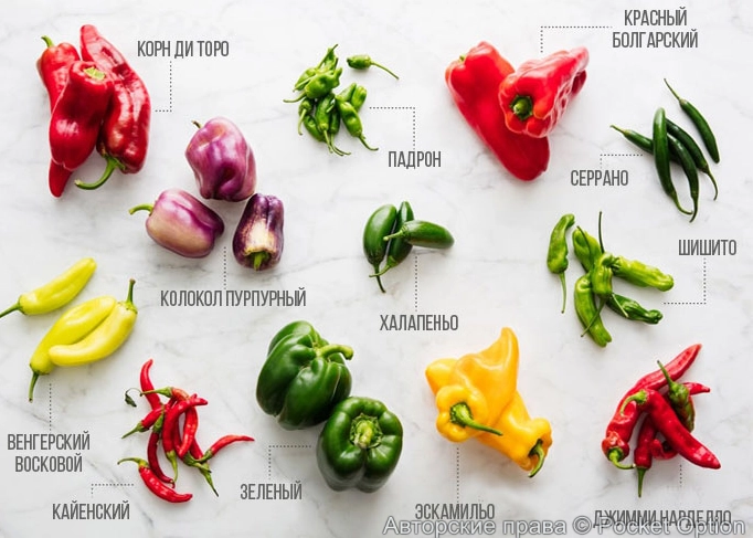 Острые перцы