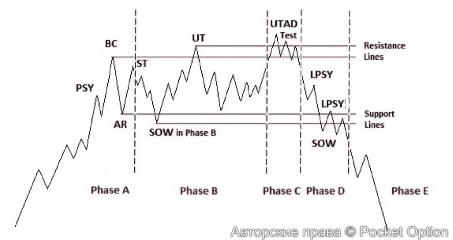 дистрибуция