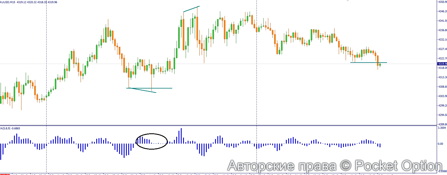 дивер осма1