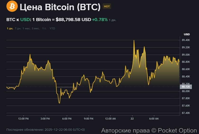 Волотильность битка