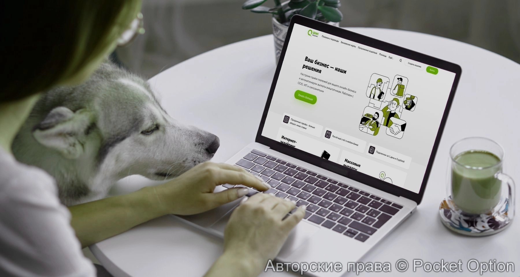 Киви кошелек