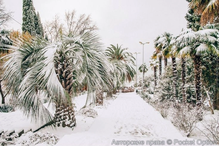 ea11162a4dc44de239699e1a6e3259dd