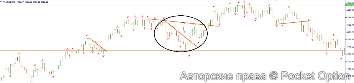 трендовые м1 .