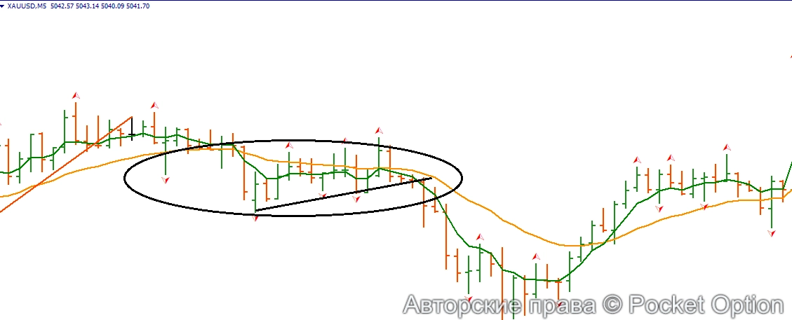 трендовая м5