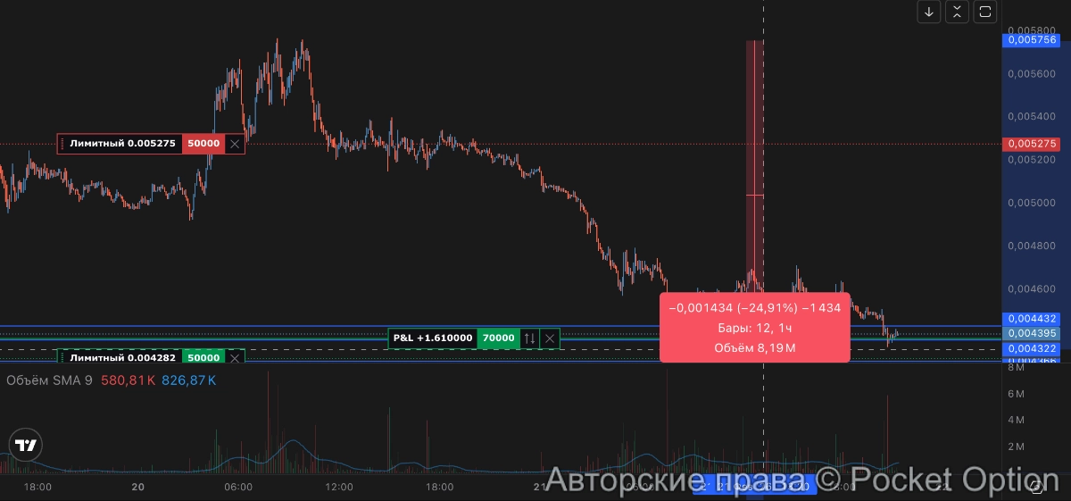 дамп-памп xny