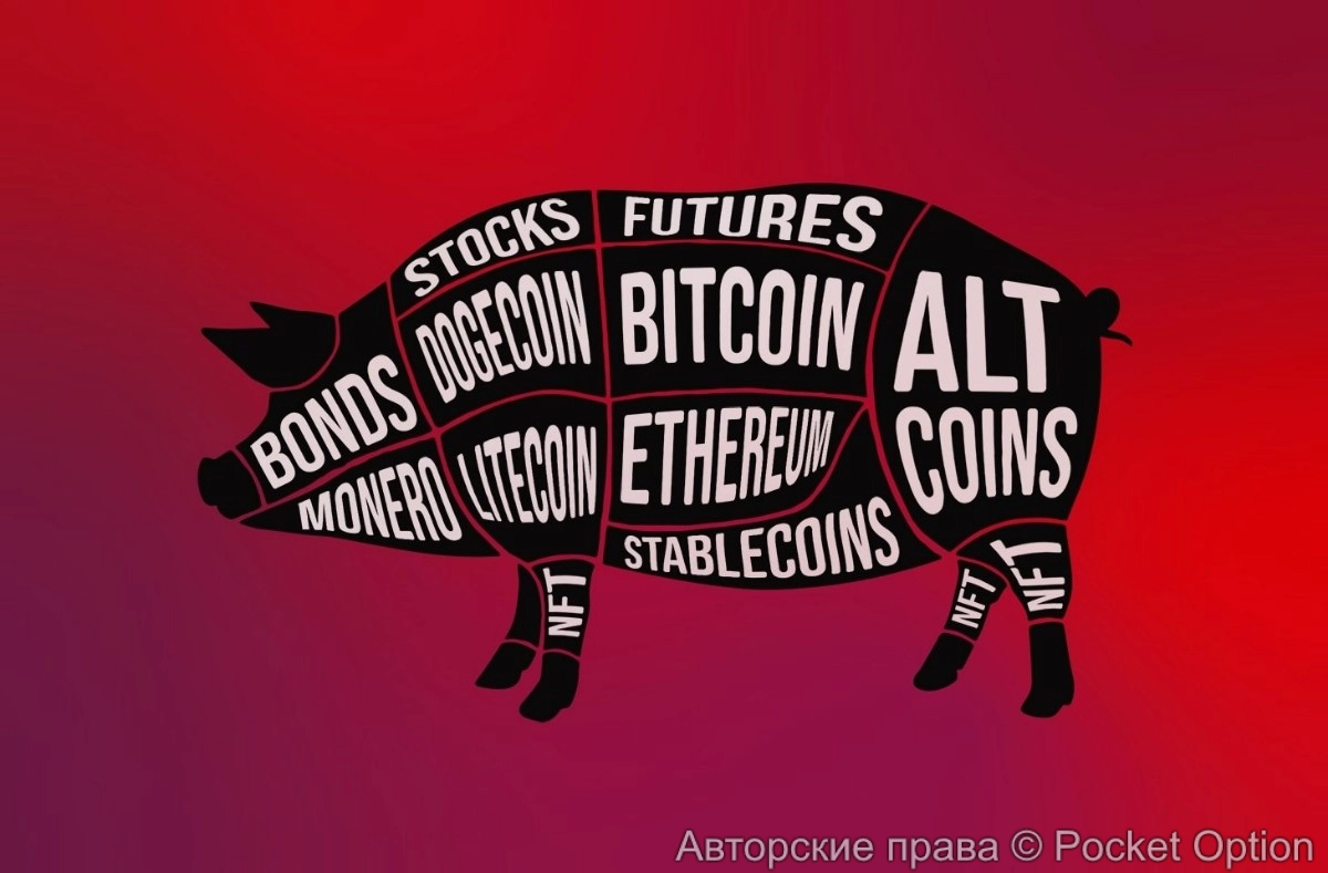 Забой свиней - популярная схема мошенничества