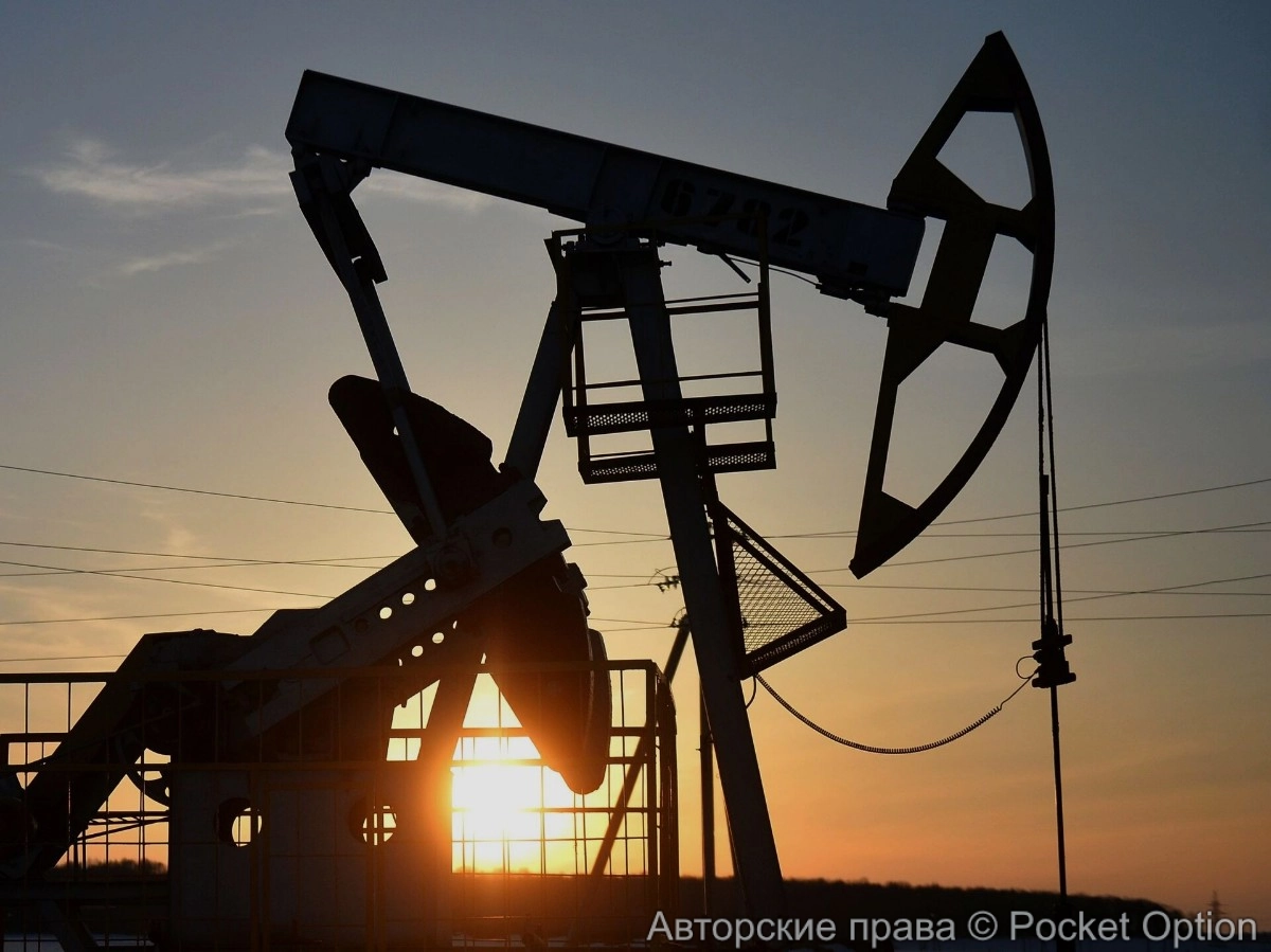 Цены на черное золото выросли