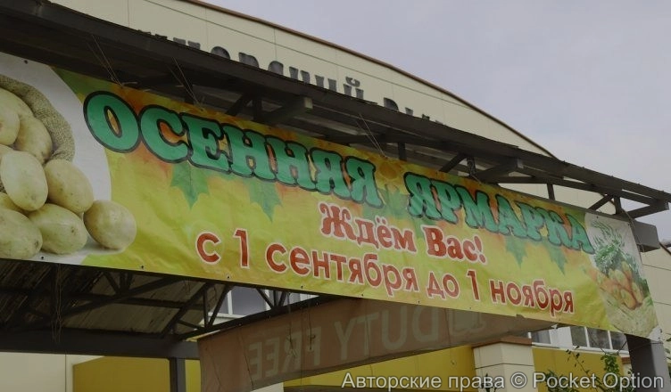 Осенний овощной базар