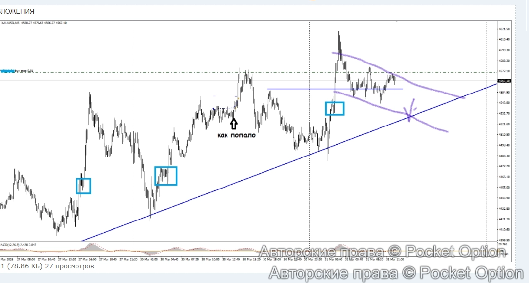 Снимок экрана 2026-04-02 052953