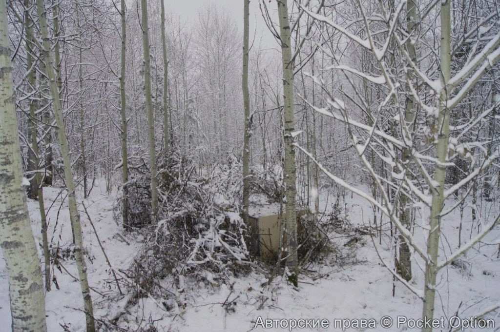Незаконный майнинг в труднодоступом месте