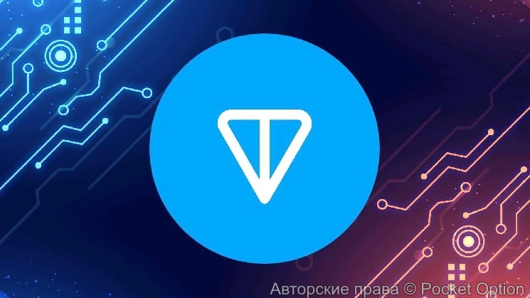 TON взлетел в цене