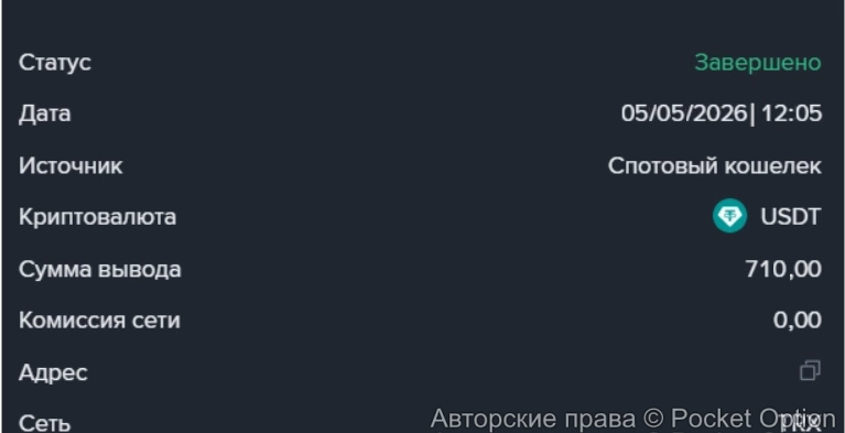 в51