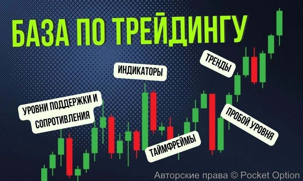 база