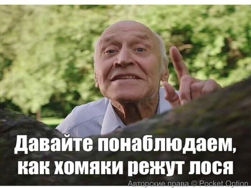 дроздов