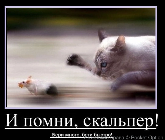 скальп