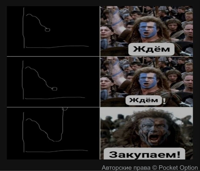 покупки